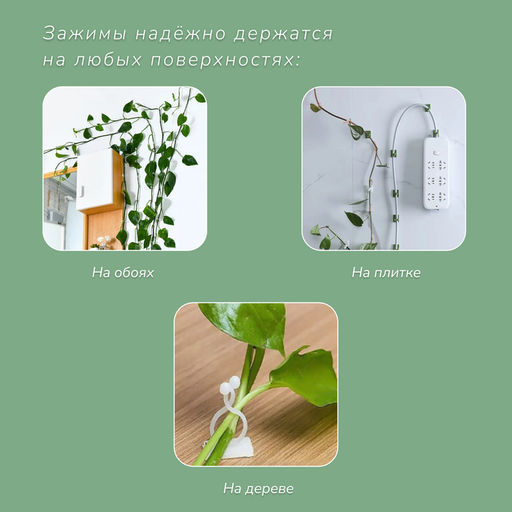 Цена за 2 шт. Крепления для вьющихся растений, самоклеящиеся, Листок, набор 10 шт., Greengo фото 6