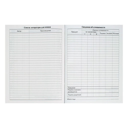 Цена за 2 шт. Дневник школьный для 1-11 классов, «Тачка Black Drift», твёрдая обложка 7БЦ, глянцевая ламинация, 40 листов