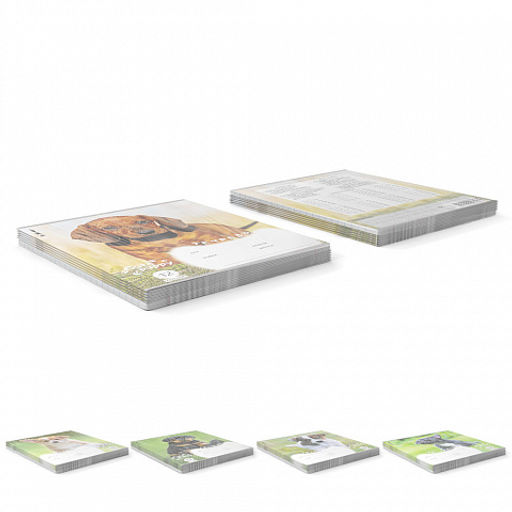 Цена за 10 шт. Тетрадь школьная ученическая ErichKrause Щенки, 12 листов, клетка (в плёнке по 10 шт.)_MIX-PACK  фото 9