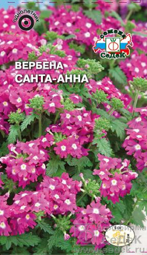 Вербена Санта-Анна розовая 0,1г (СеДеК)