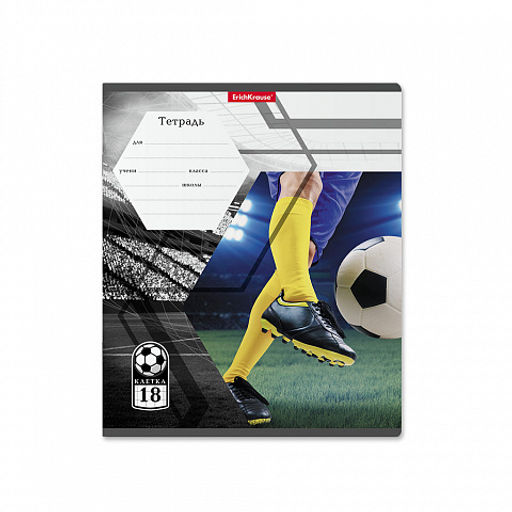 Цена за 200 шт. Тетрадь школьная ученическая ErichKrause Dribbling, 18 листов, клетка (в плёнке по 10 шт.)  фото 5