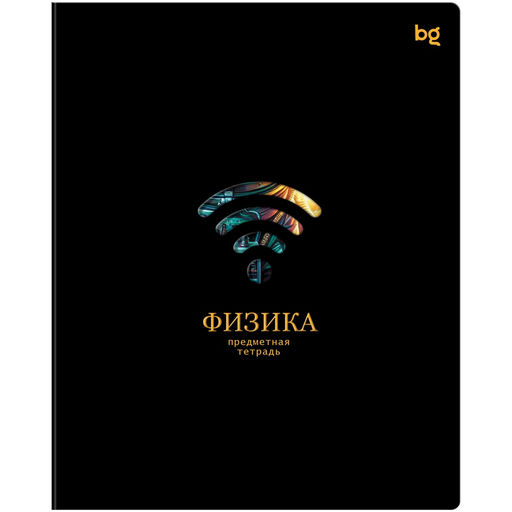 Цена за 2 шт. Тетрадь 48л. ИНФОРМАЦИОННОЕ ПОЛЕ "Физика" (ТП5ск48_лс_вл 63876, BG) soft-touch ламинация, выб.лак