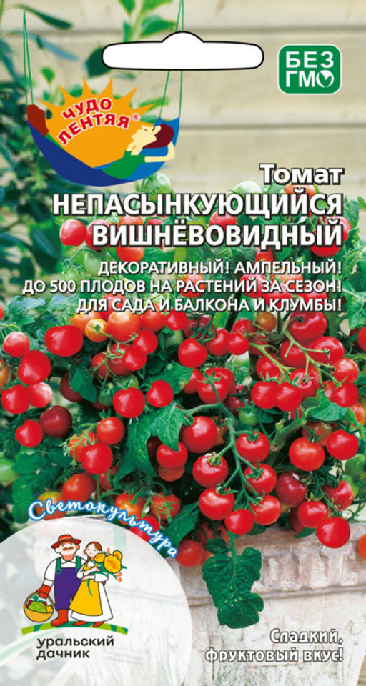 Томат НЕПАСЫНКУЮЩИЙСЯ ВИШНЕВОВИДНЫЙ Серия Чудо лентяя! Декоративный! Ампельный! До 500 плодов на растении за сезон! Для сада и балкона!