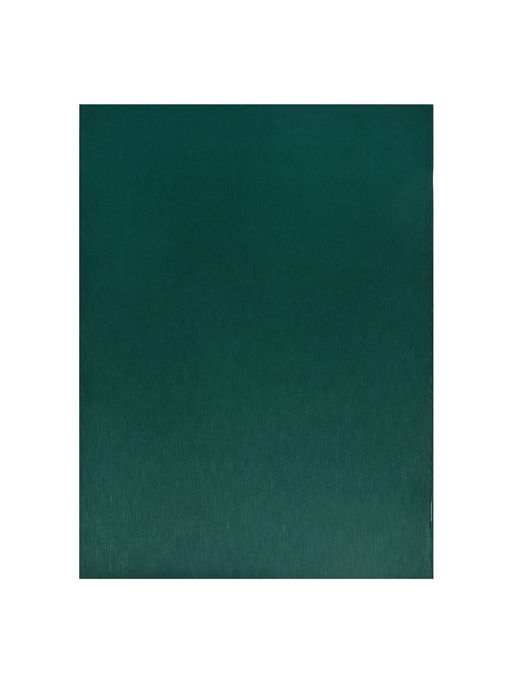 Набор тетрадей Calligrata. VIGO, А4, 2 штуки, 96 листов, обложка из бумвинила, зелёные