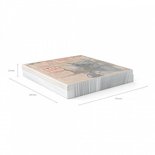 Цена за 5 шт. Тетрадь общая ученическая ErichKrause Russian Folk, Информатика, 48 листов, клетка, крафт-картон  фото 6