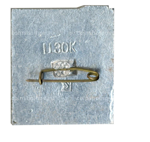 Значок Киев