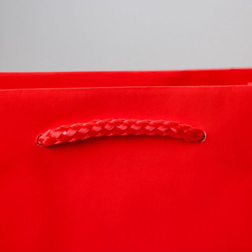 Цена за 2 шт. Пакет подарочный ламинированный, упаковка, «Красный», MS 18 х 23 х 8 см