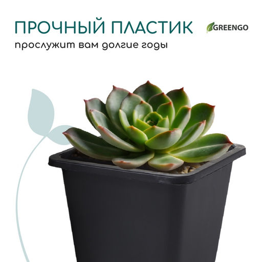 Цена за 20 шт. Горшок для рассады, 250 мл, 9×9×8 см, пластик, чёрный, Greengo