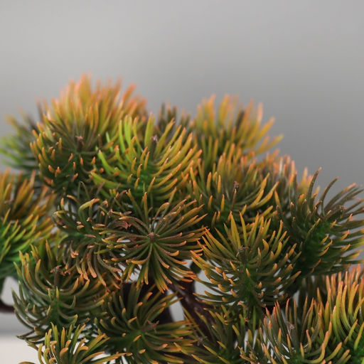 Бонсай искусственный в горшке «Сосна галант», 12×16 см, МИКС