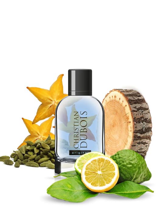 Dilis CHRISTIAN DUBOIS Original Туалетная вода для мужчин 100 мл  фото 3