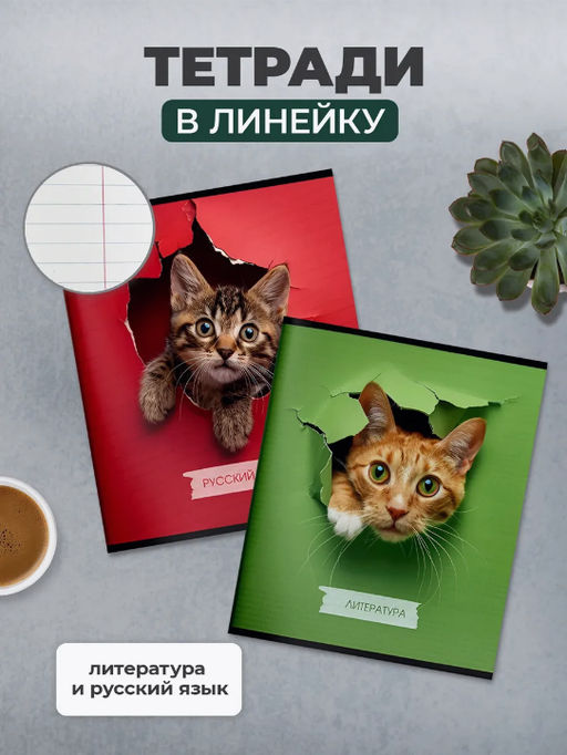 Комплект тетрадей 48 л. А5 клетка/линия, на скрепке,ЛЮБОПЫТНЫЙ КОТИК ,Schoolformat - Buro фото 4