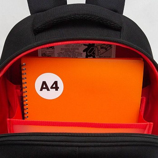 RAz-587-5 Рюкзак школьный - Grizzly фото 12