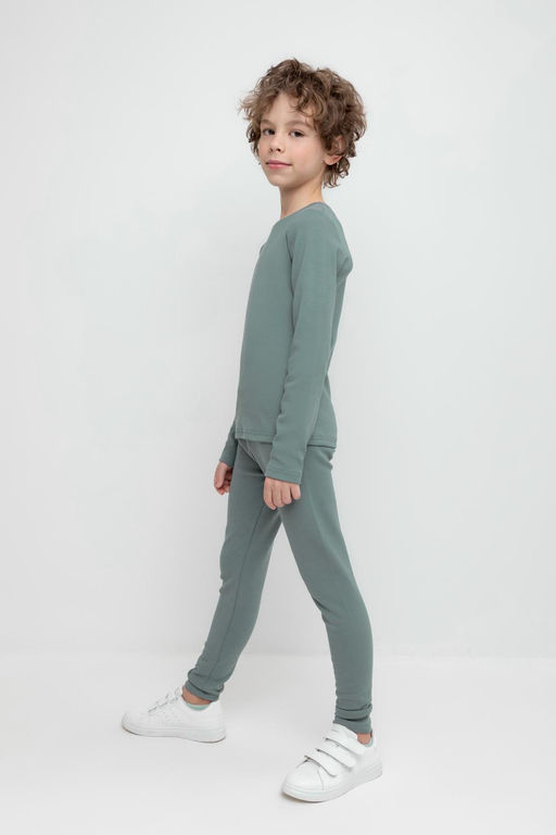 Crockid _ К 400427-1/полынь бриджи дет