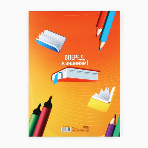 Цена за 2 шт. Папка, 2 файла, А4. «Выпускник начальной школы»