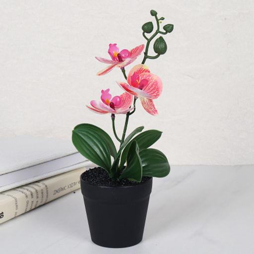 Цветочная композиция Орхидея 27 см / ZH-010 /уп 10/120/ - Галеонтрейд фото 4