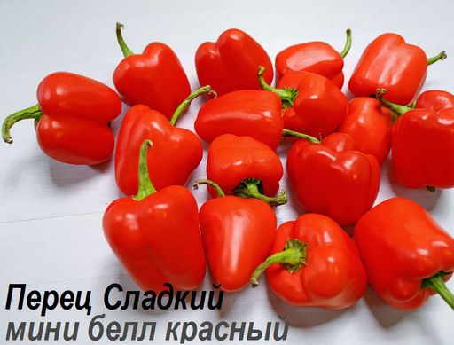 Перец Сладкий Mini Bell Red - Мини Белл Красный - Дом помидоров фото 2