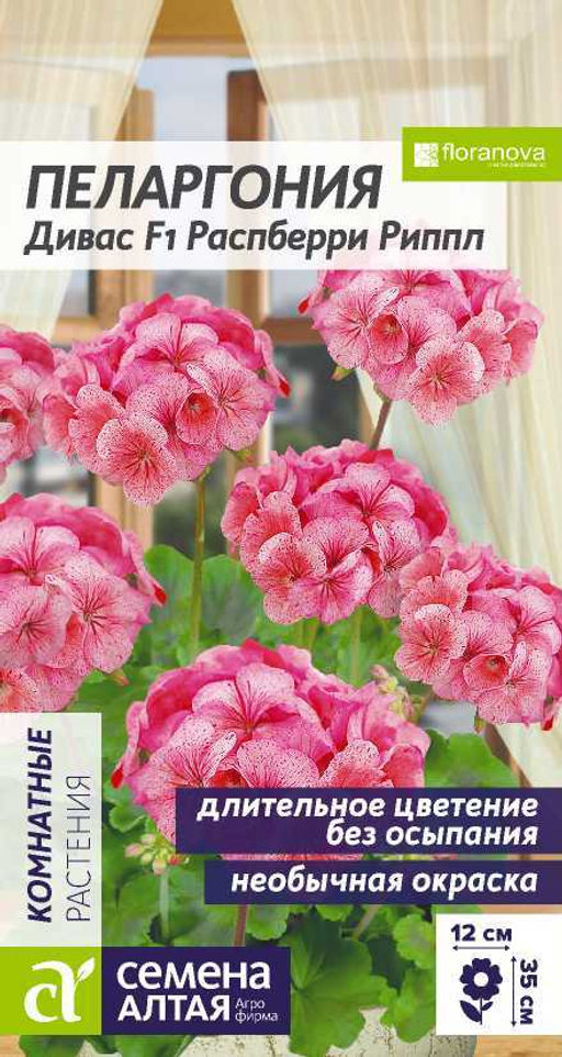 Цветы Пеларгония Дивас F1 Распберри Риппл зональная/Сем Алт/цп 3 шт.