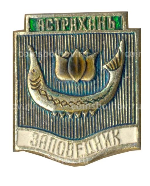 Значок Астрахань