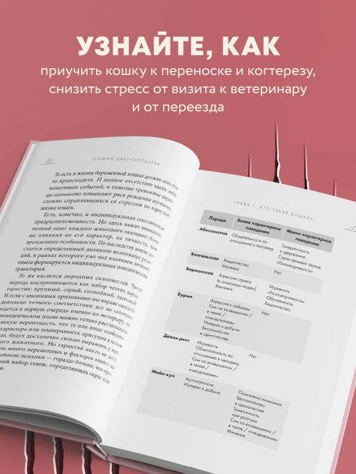 Кошачий закон и порядок. Как найти общий язык с кошкой и не стать жертвой ее капризов