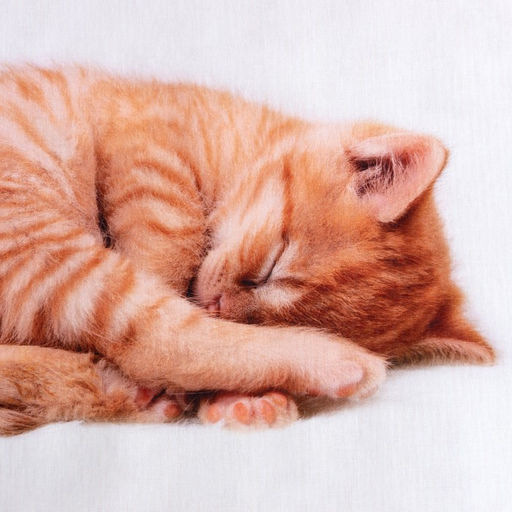 Постельное бельё 1.5-спальное «Этель. Kitty», бязь