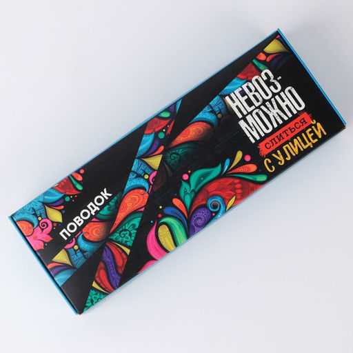 Поводок Невозможно слиться с улицей, 2.5 см, 1.5 м - Пушистое счастье фото 10