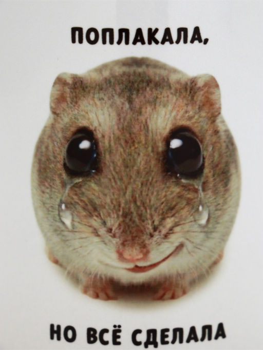 Кружка керамическая «Поплакала, но все сделала», 320 мл