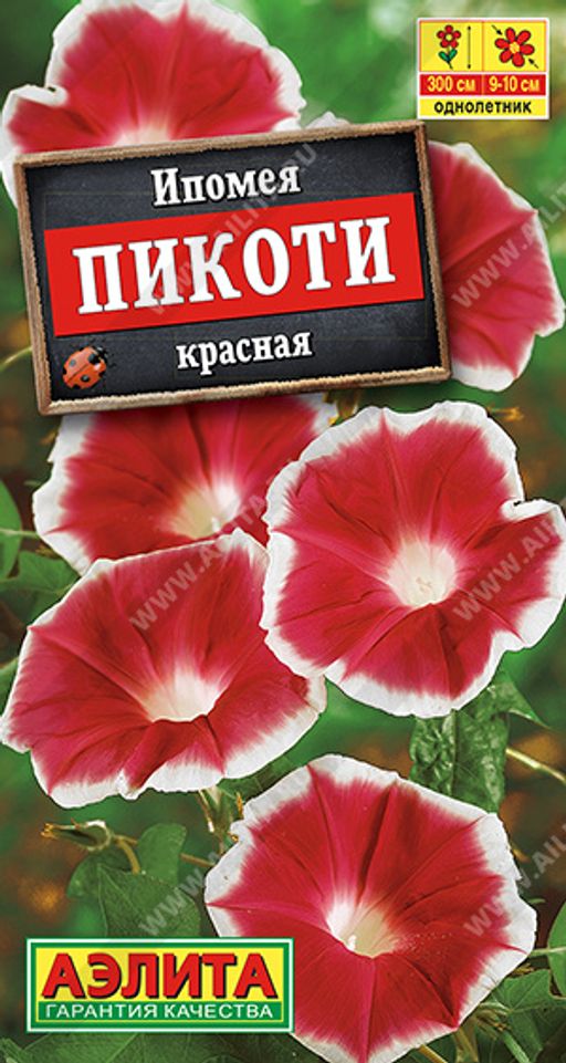 Ипомея Пикоти красная (2025)