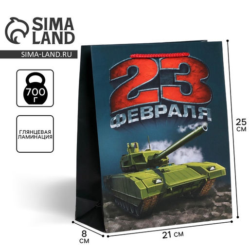 Цена за 2 шт. Пакет подарочный ламинированный, упаковка, «С 23 февраля», ML 25×21×8 см