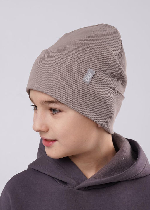 Clever 555711ш Шапка (ЧЗ)