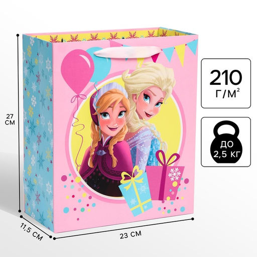 Пакет подарочный, 23×27×11.5 см, упаковка, Холодное сердце