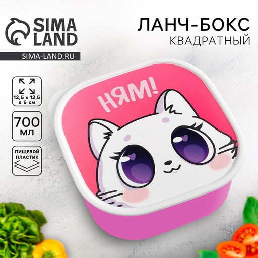 Цена за 2 шт. Ланч - бокс квадратный «Котик», 700 мл