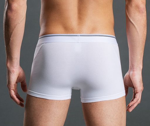 Трусы-боксеры А09717340 - Tadmico фото 4