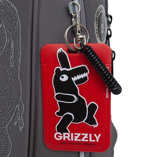 RAf-493-2 Рюкзак школьный - Grizzly фото 50