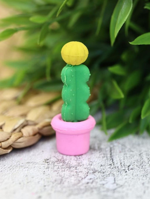 Ластики "Cactus", 4 шт. в наборе