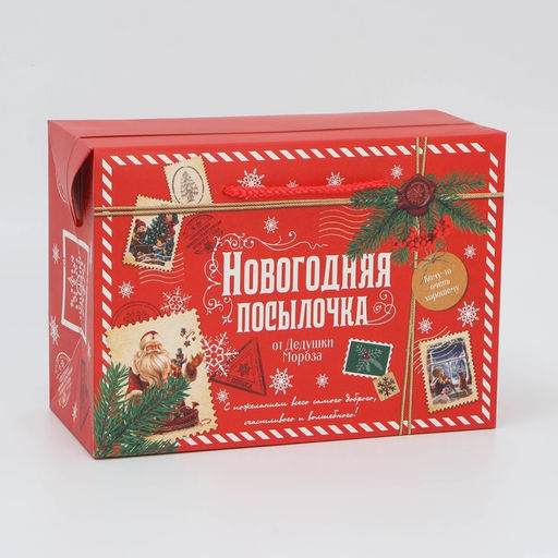 Цена за 2 шт. Пакет-коробка подарочный новогодний Посылочка, 28?20?13 см