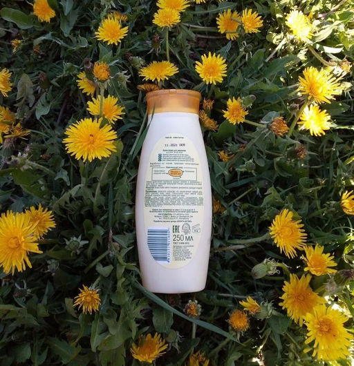 Облепиха Крем-пенка для умывания для всех типов кожи, 250 мл - Белита-м фото 3