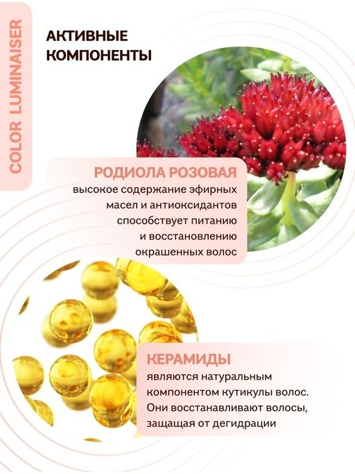 Ламинирующий шампунь для окрашенных волос, 400 мл / Natura Siberica / ICE Professional / Home / Color Luminaiser /  фото 2