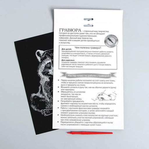 Цена за 3 шт. Гравюра на подложке «Енот» с металлическим эффектом «серебро» А4