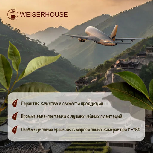 Живой чай / Золотой пух (живой чай) 1 уп. * 200 гр - Weiserhouse фото 11