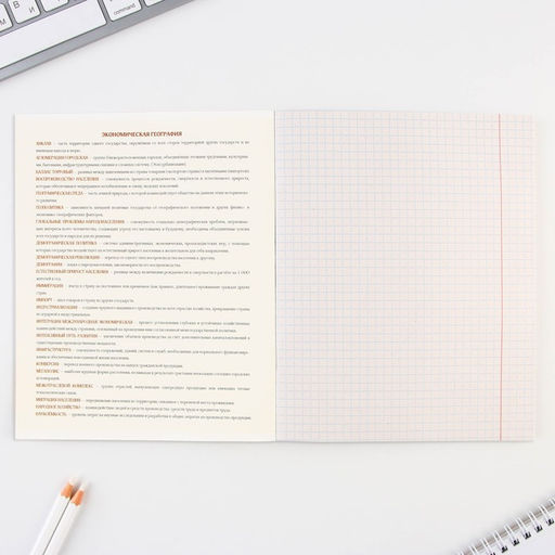 Цена за 20 шт. Тетрадь в клетку, предметная, 48 л., на скрепке, А5 «ПРЕДМЕТЫ. География»