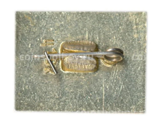 Значок Ясная Поляна