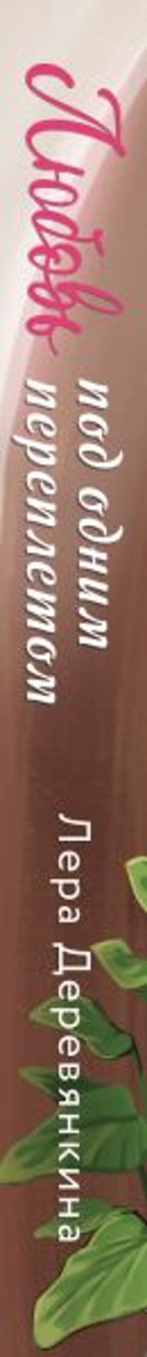 Любовь под одним переплетом