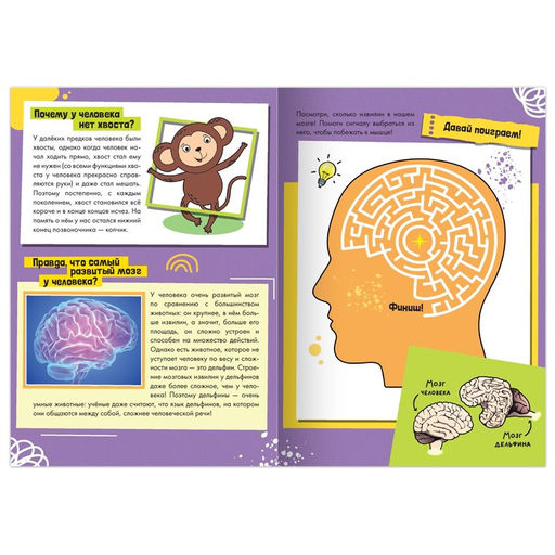 Набор обучающих книг Как, зачем, почему?, 6 шт. - Буква-ленд фото 6
