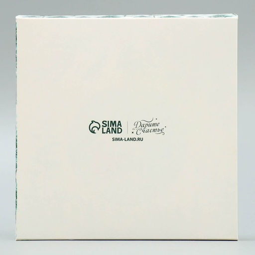 Цена за 5 шт. Коробка для кондитерских изделий с PVC крышкой «Зима», 15 х 15 х 3 см