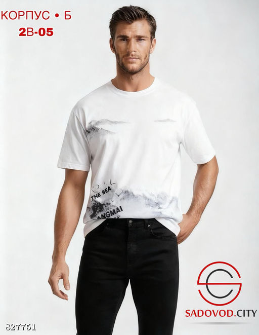Мужские футболки с рисунком