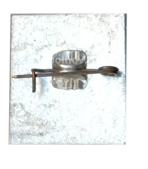 Значок Саратов