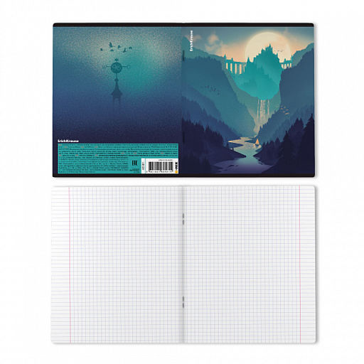 Цена за 5 шт. Тетрадь общая ученическая ErichKrause Silhouette Landscapes, 96 листов, клетка, глянцевая ламинация_MIX-PACK  фото 8