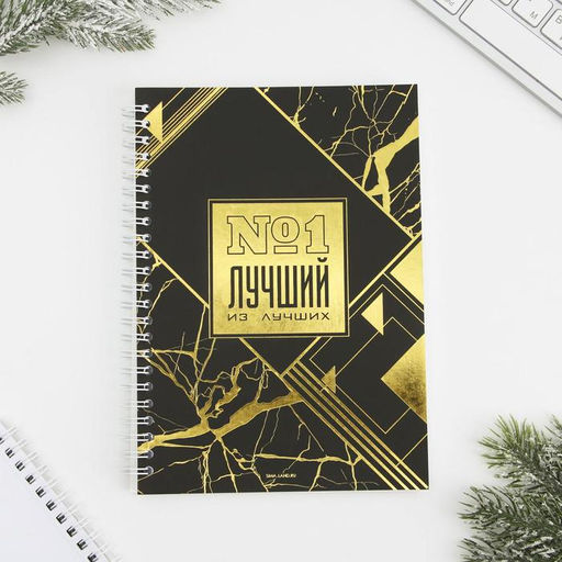 Подарочный набор: ежедневник, зарядное устройство, мод.РВ-01, «Ты - настояящий мужчина», 22.7×24.5 см.