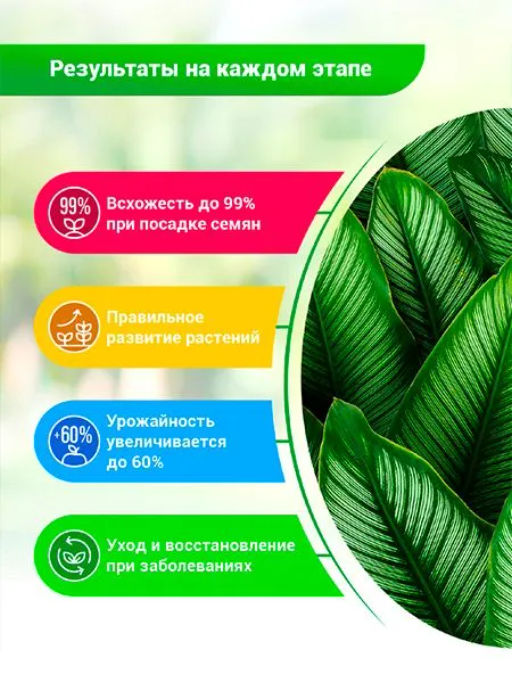 БИО-комплекс Суспензия Хлореллы Концентрат ( 500 мл)  фото 3