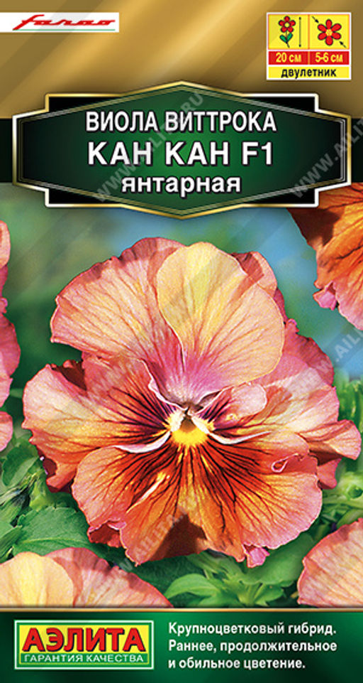 Виола Кан Кан F1 янтарная